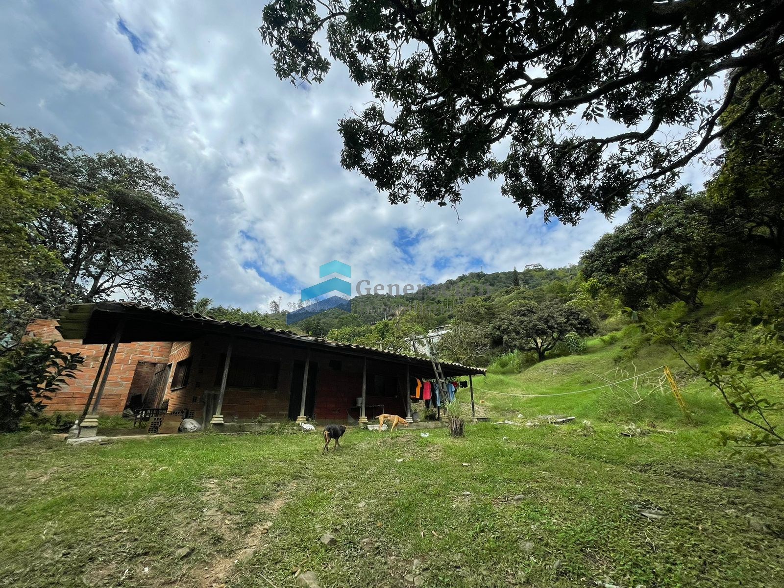 Foto A0771